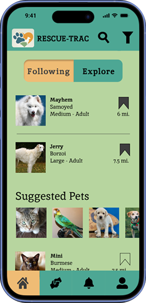 Visual mockup of the app's home screen